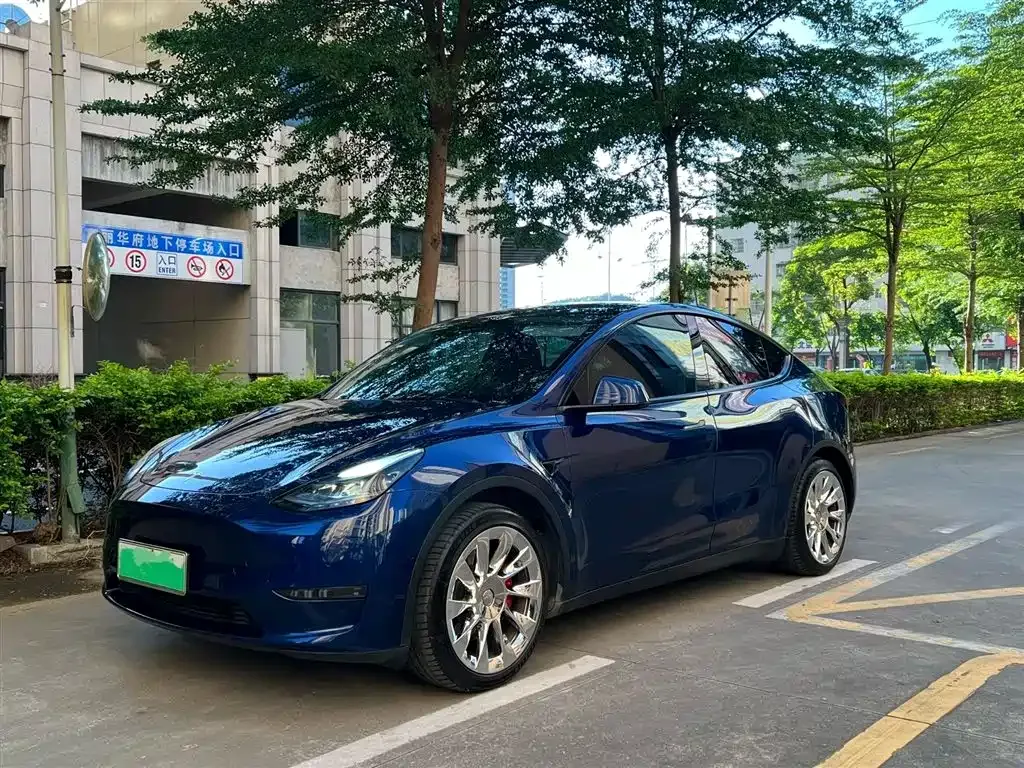 Tesla Model Y — фото 1