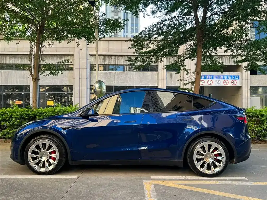 Tesla Model Y — фото 8
