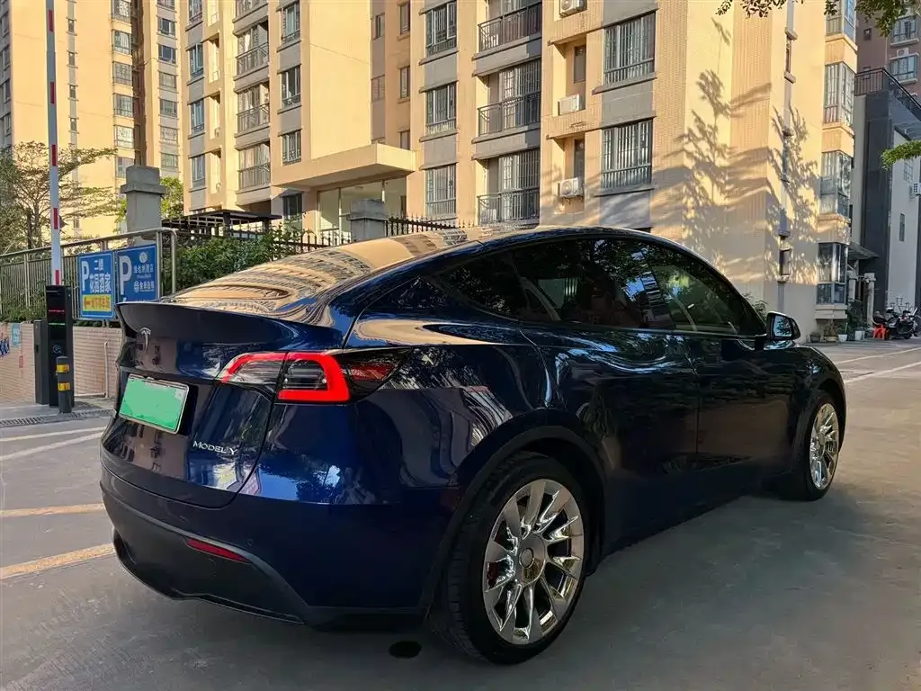 Tesla Model Y — фото 3