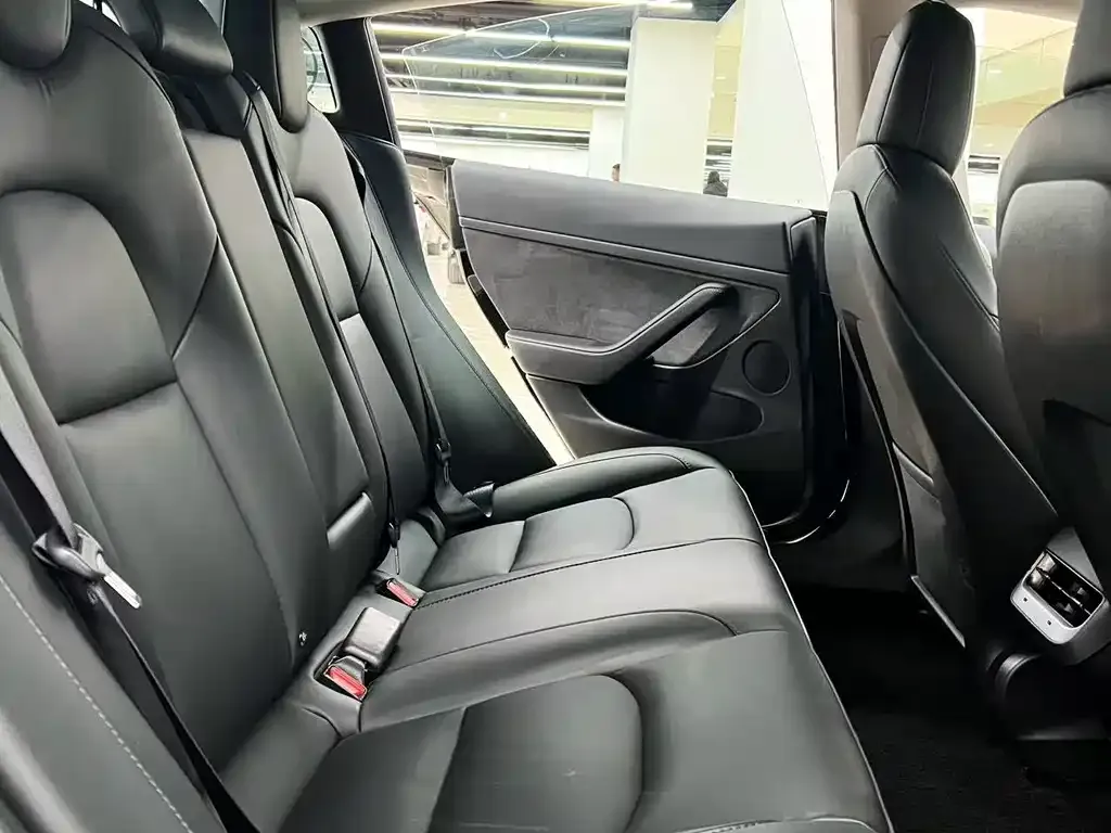 Tesla Model 3 2022 из CN, фото 2