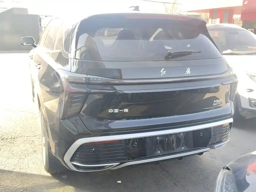 Hongqi HS3 2024 из CN, фото 10