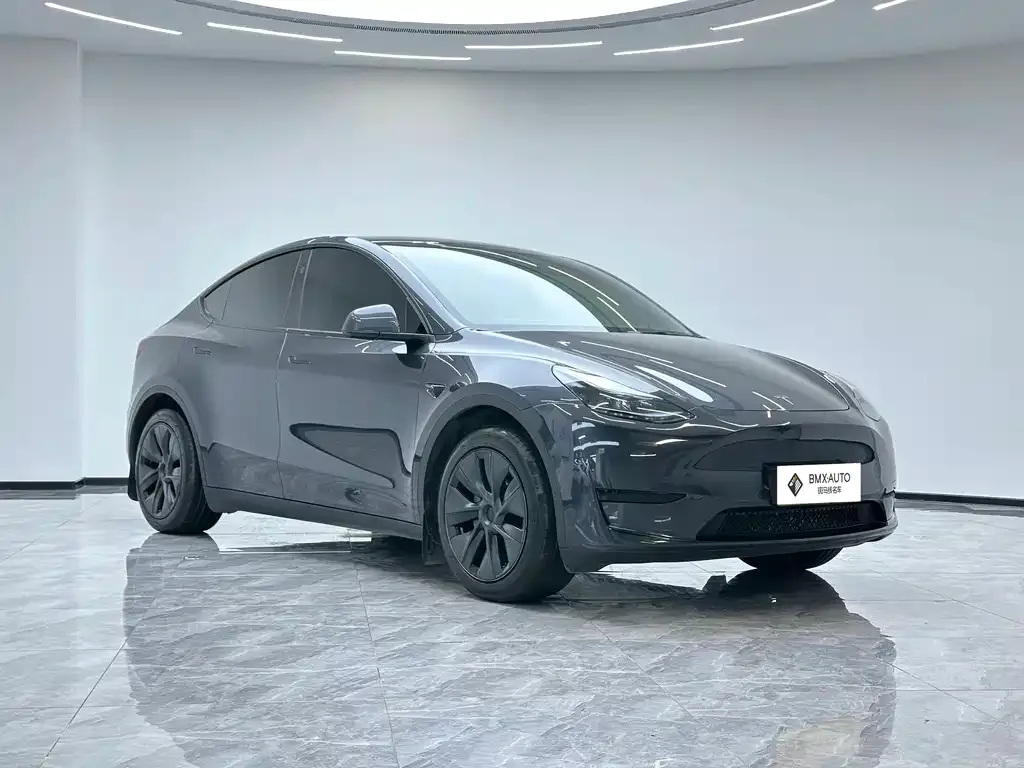 Tesla Model Y — фото 4