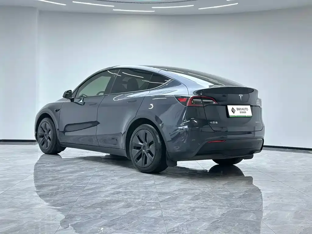 Tesla Model Y — фото 9