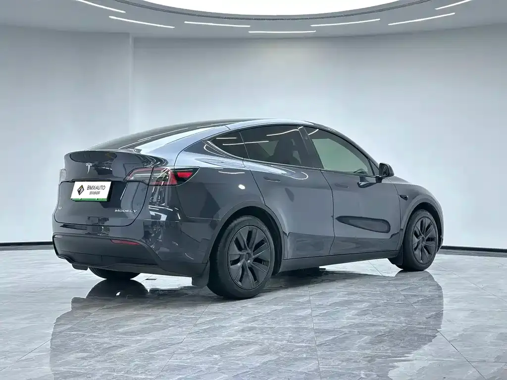 Tesla Model Y — фото 10