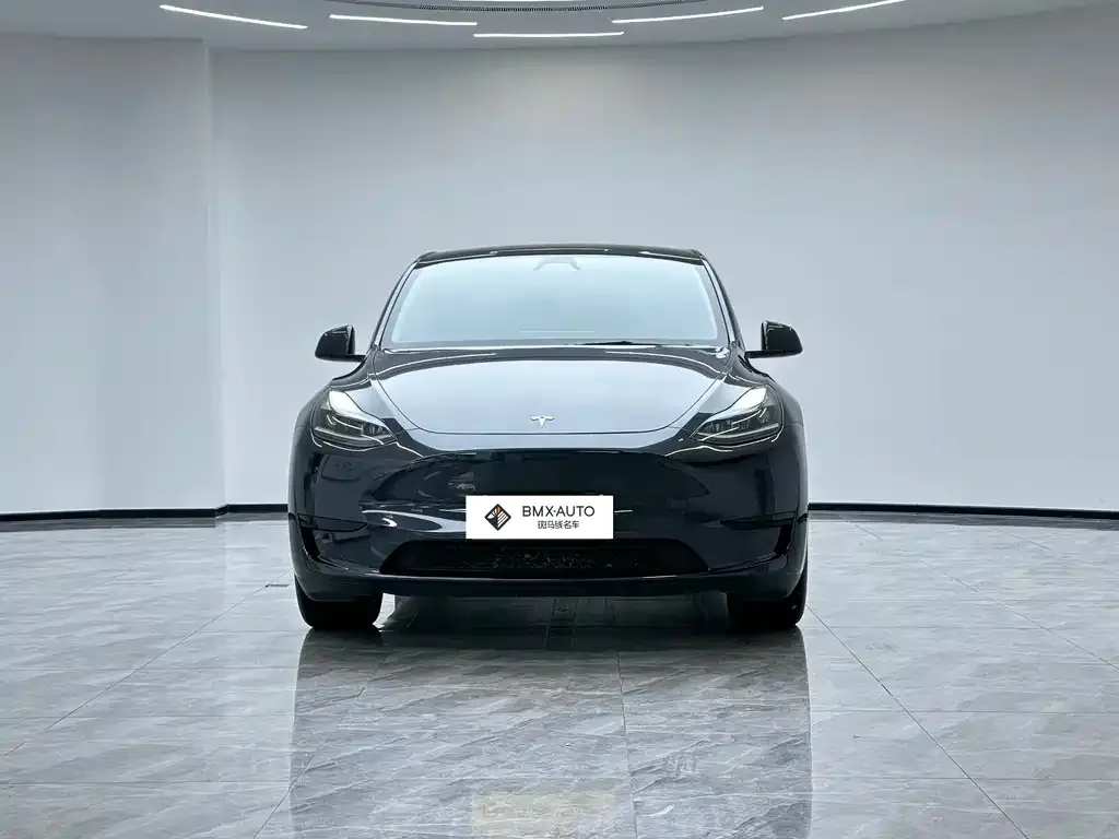 Tesla Model Y — фото 8