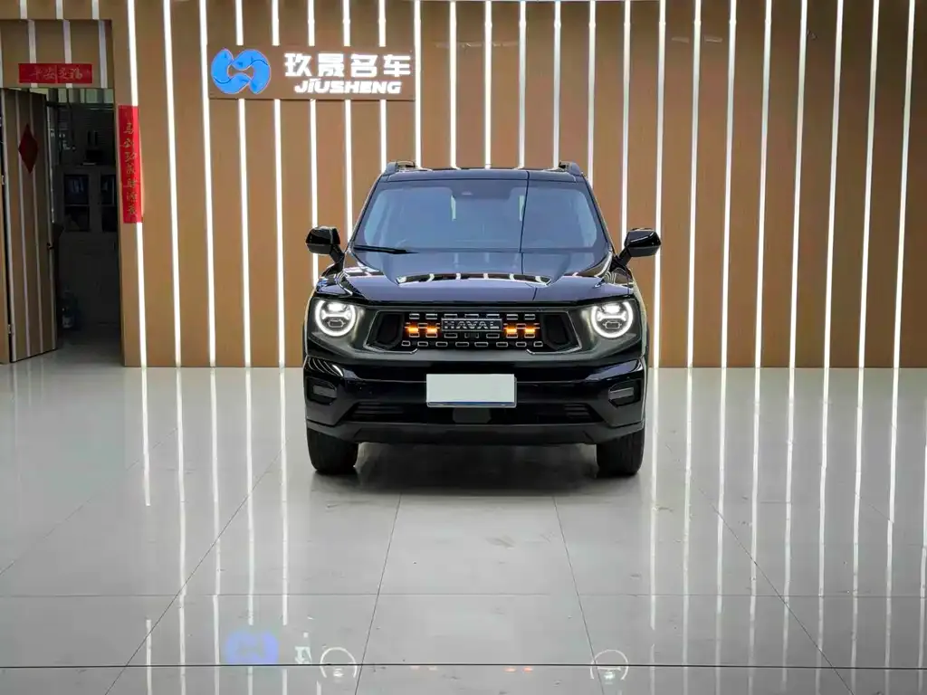 Haval H7 (Big Dog Plus) — фото 2