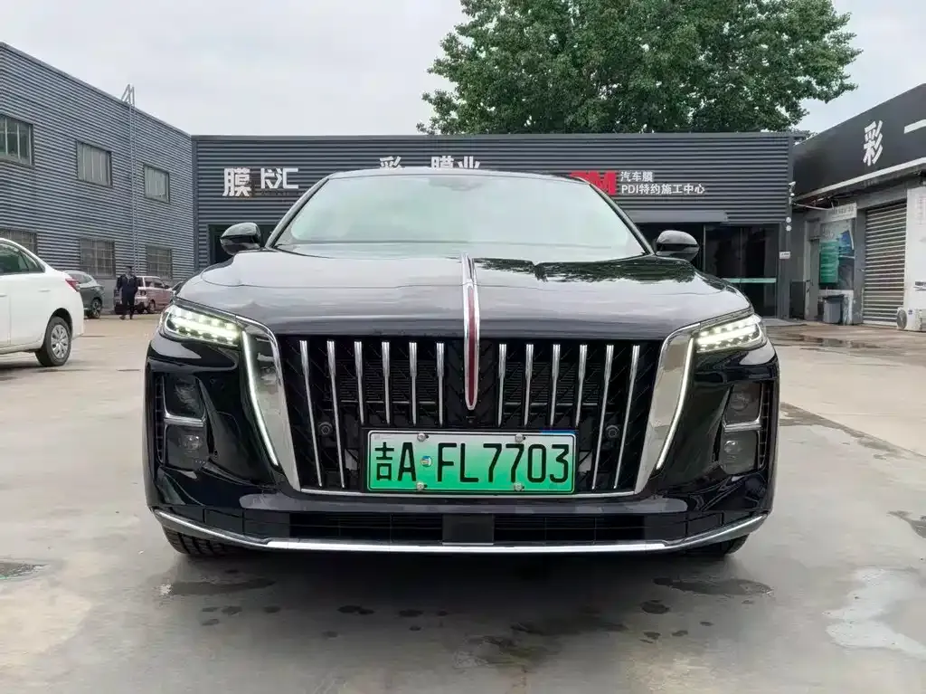 Hongqi H5 PHEV 2025 из CN, фото 8
