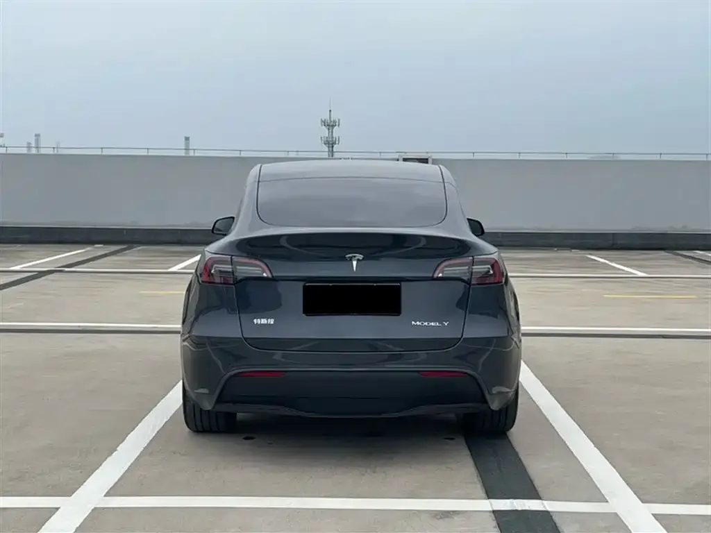 Tesla Model Y — фото 4