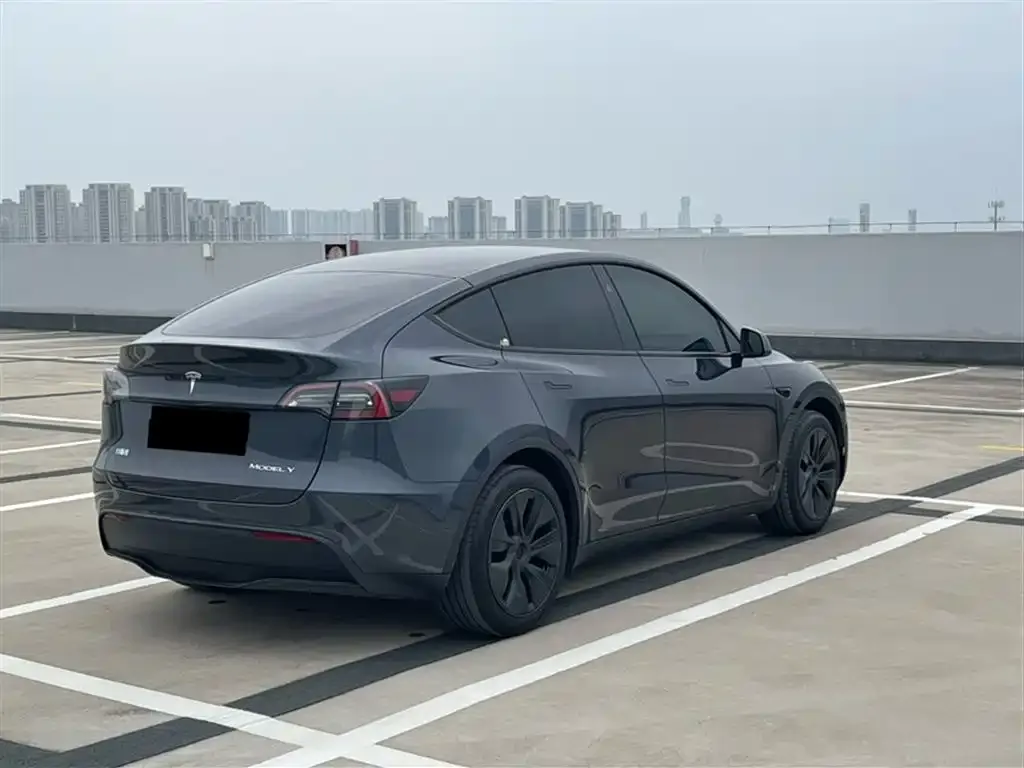 Tesla Model Y — фото 7