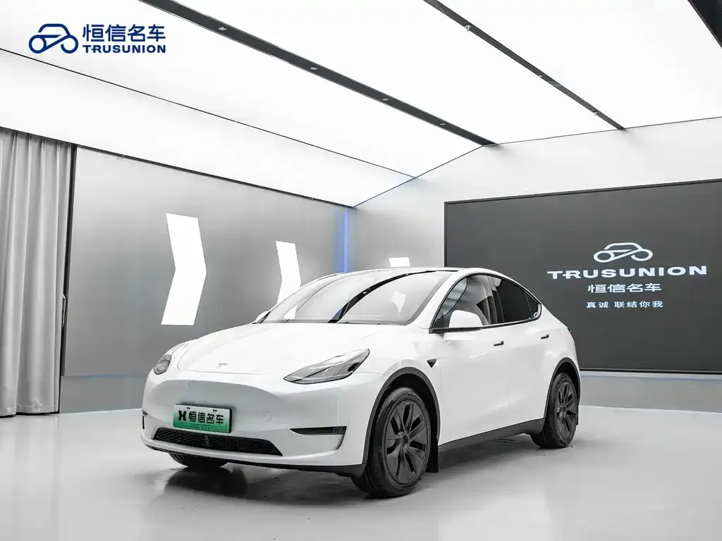 Tesla Model Y — фото 1