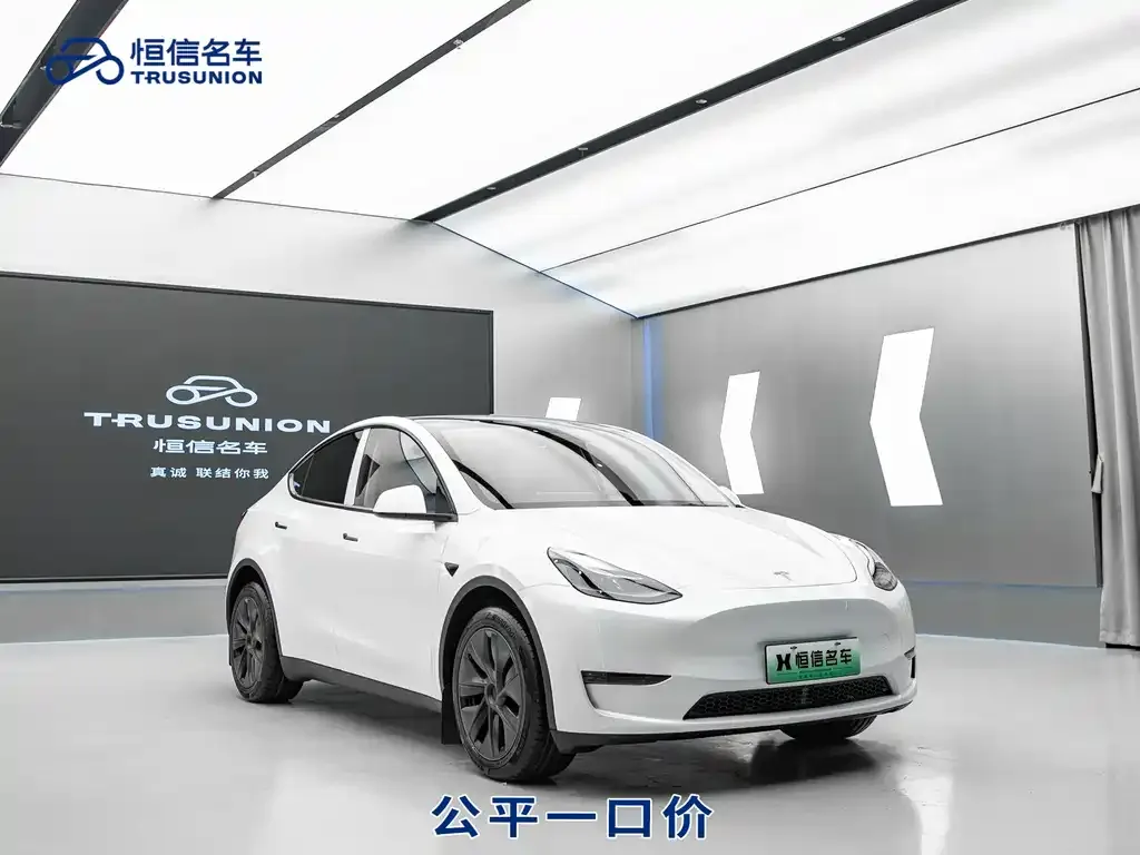 Tesla Model Y — фото 9