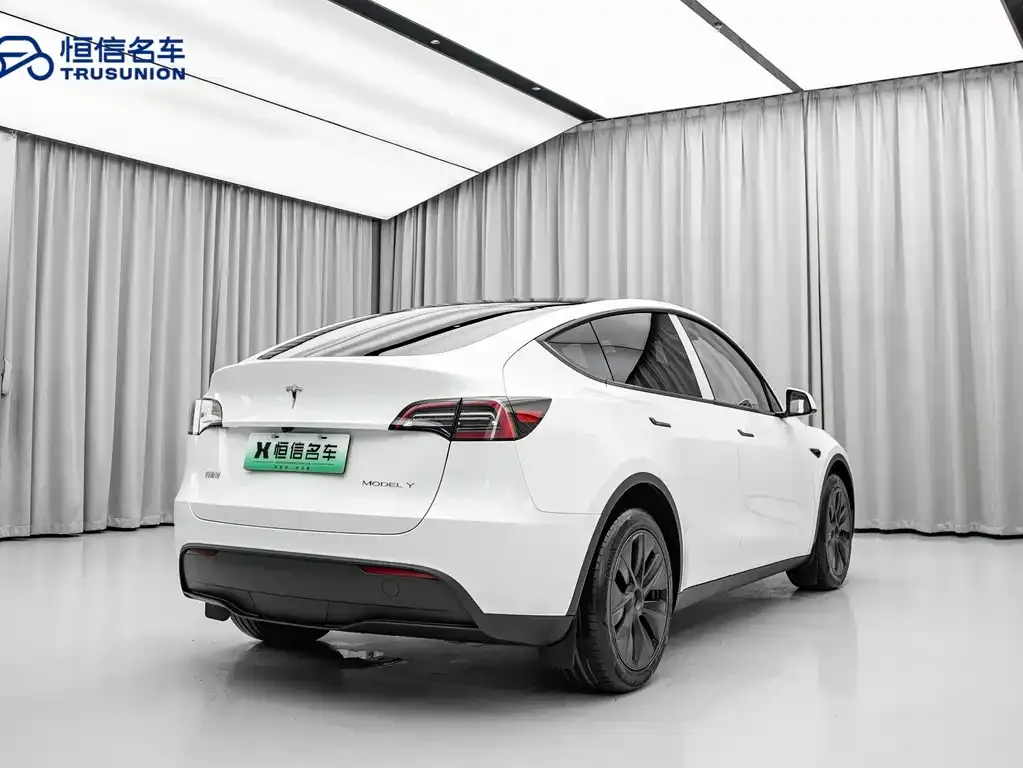 Tesla Model Y — фото 10