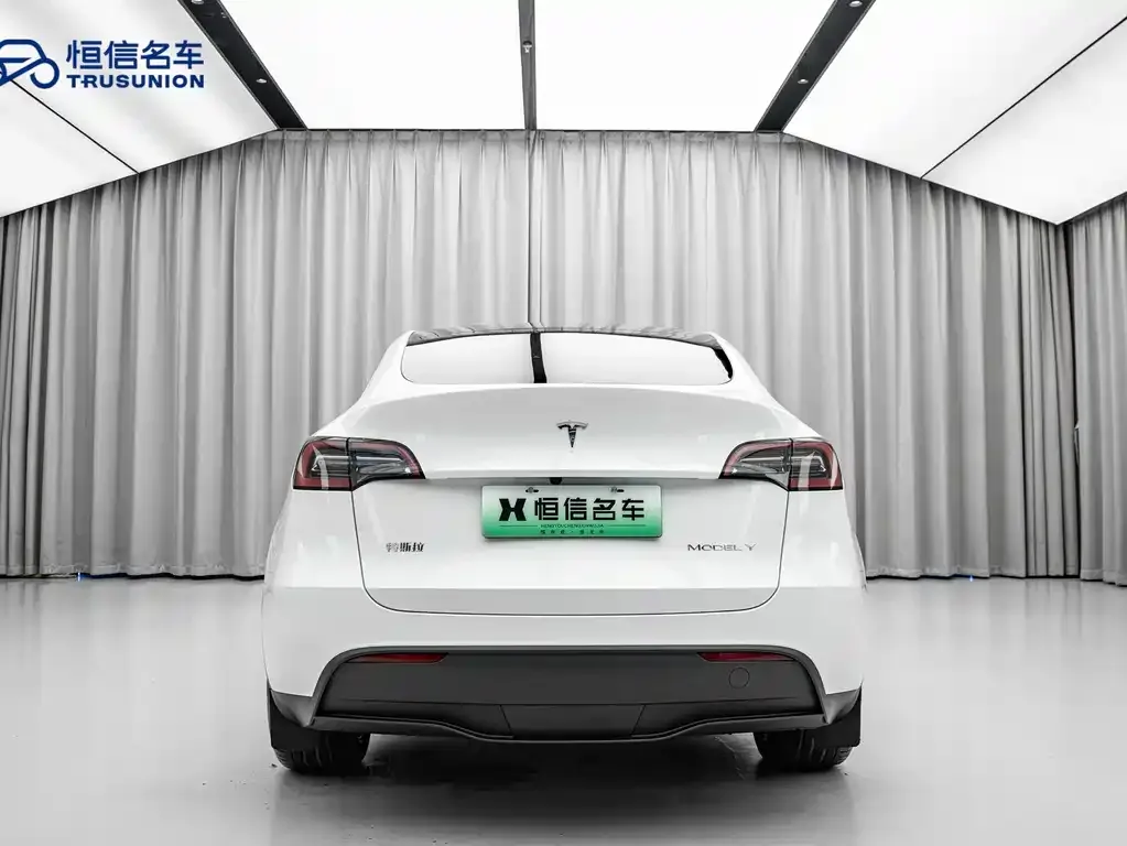 Tesla Model Y — фото 8