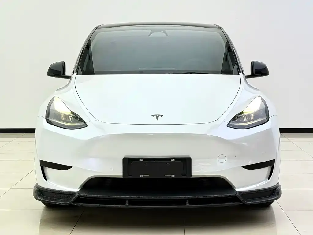 Tesla Model Y — фото 3