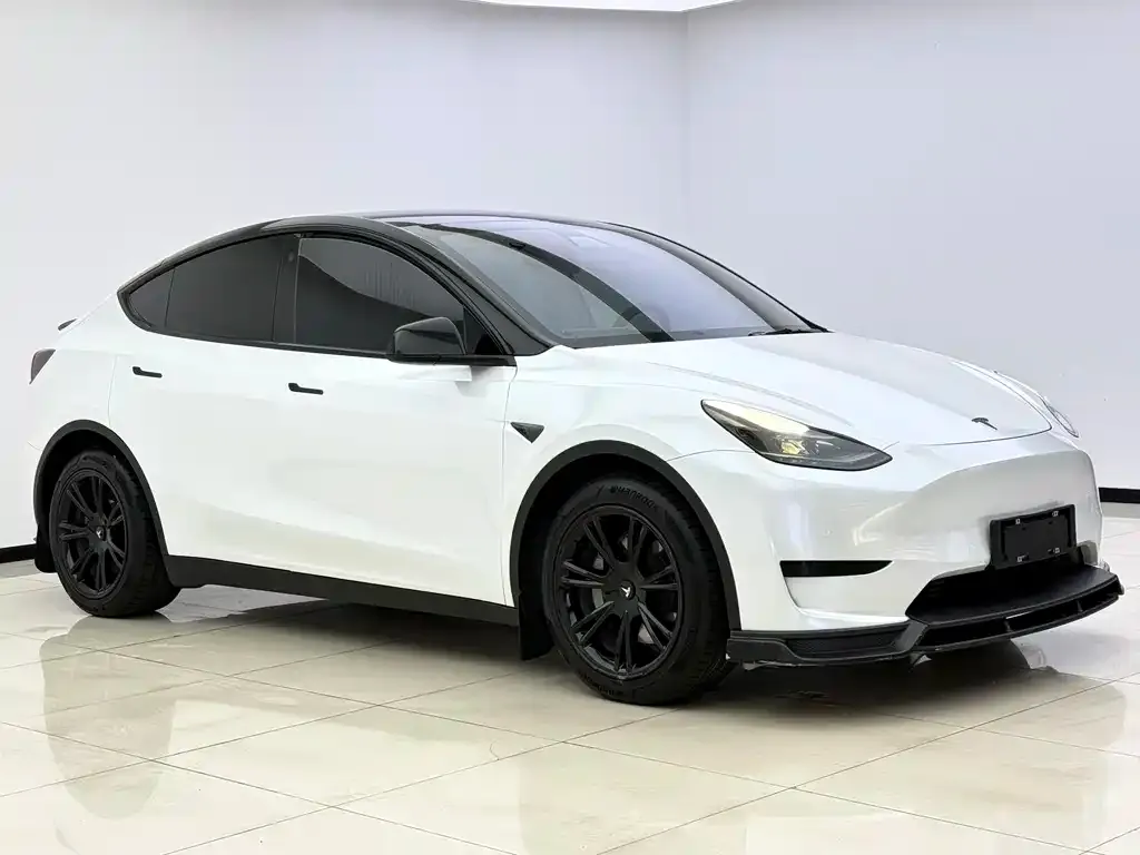Tesla Model Y — фото 2
