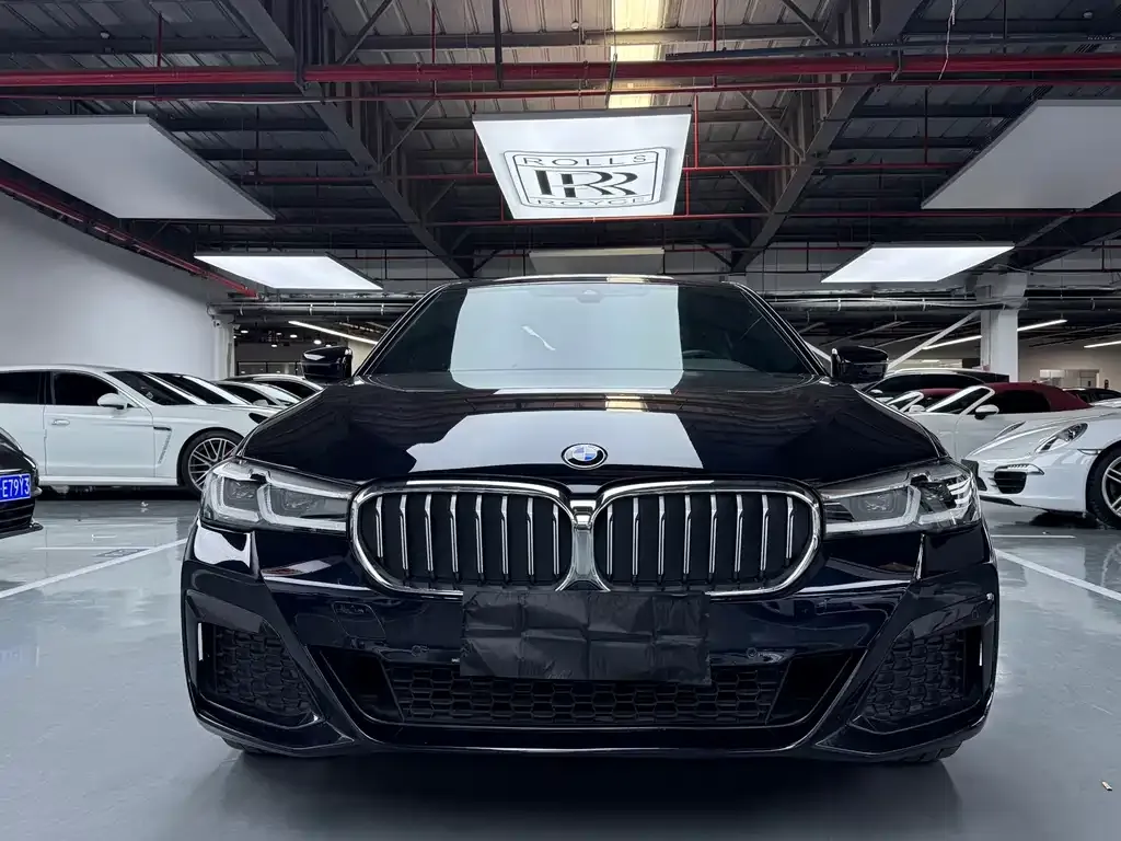 BMW 5 Series 2023 из CN, фото 3