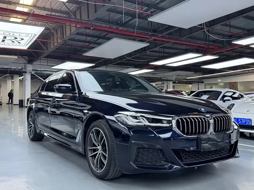 BMW 5 Series 2023 из CN, фото 10