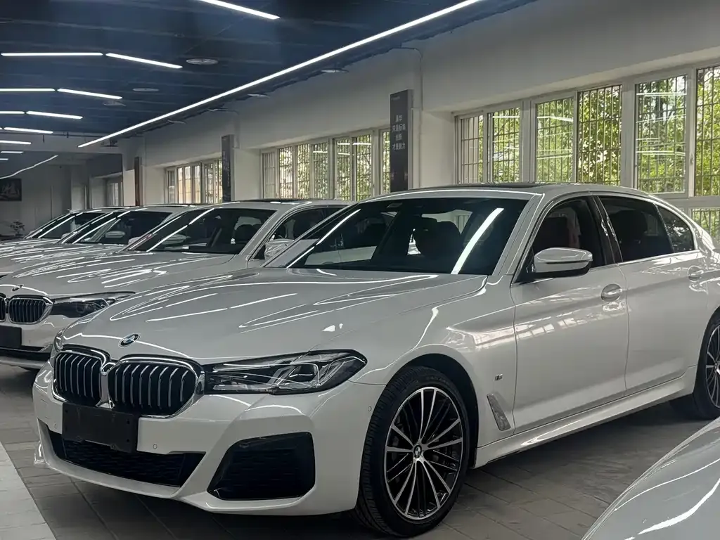 BMW 5 Series 2021 из CN, фото 1