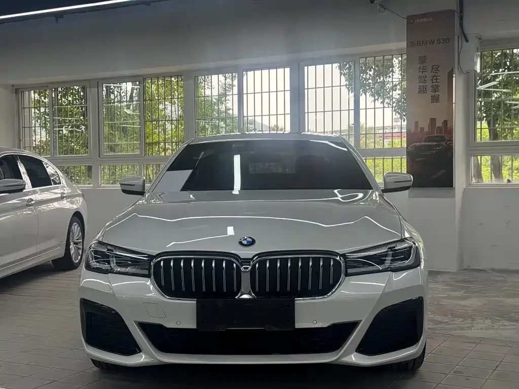 BMW 5 Series 2021 из CN, фото 9