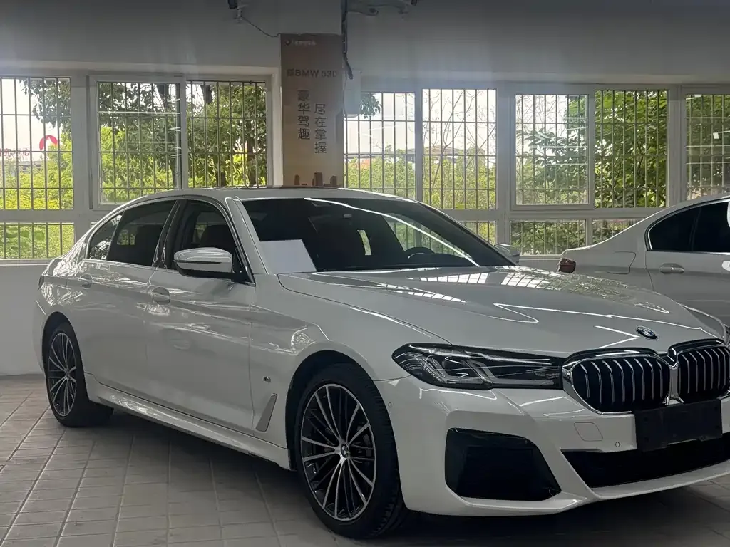 BMW 5 Series 2021 из CN, фото 6
