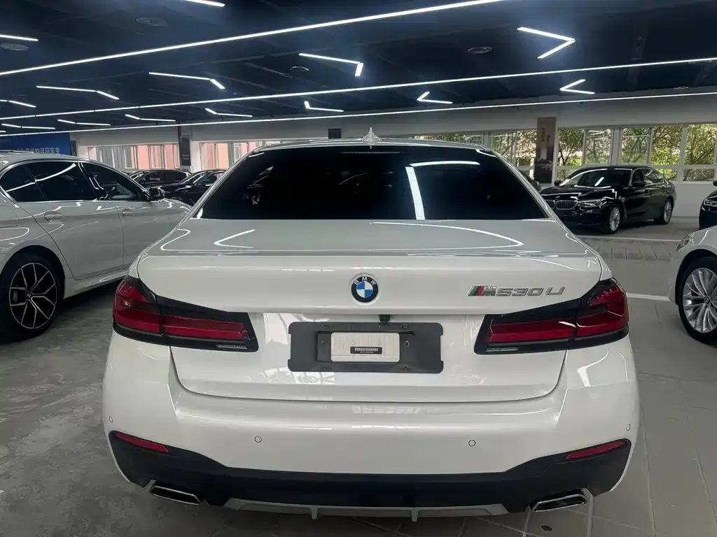 BMW 5 Series 2021 из CN, фото 3