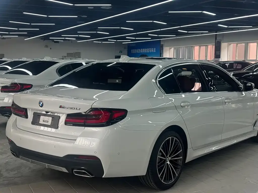 BMW 5 Series 2021 из CN, фото 2