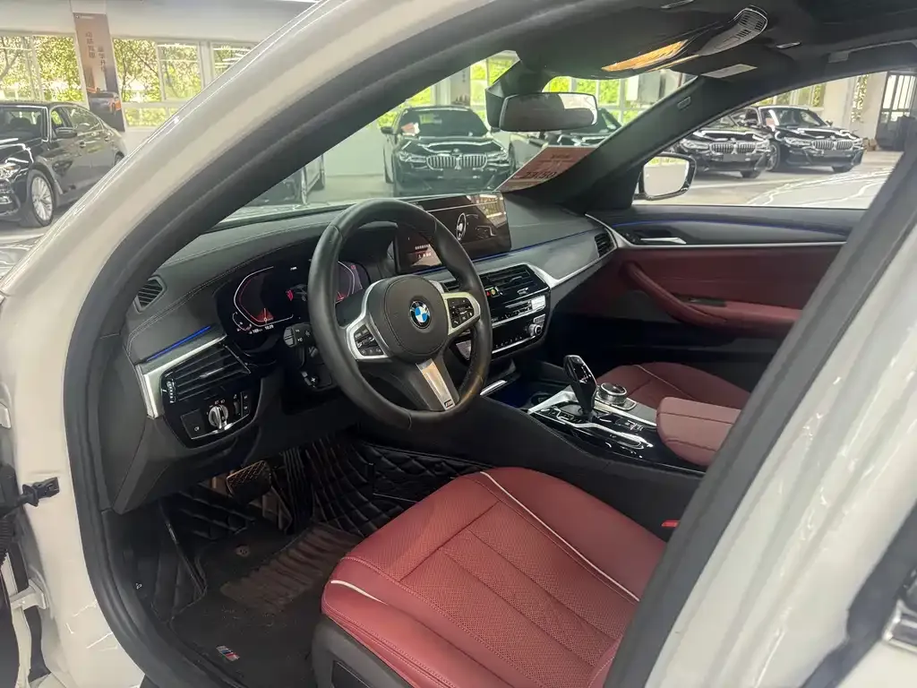 BMW 5 Series 2021 из CN, фото 5