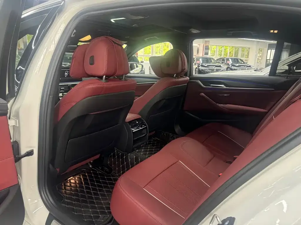 BMW 5 Series 2021 из CN, фото 8