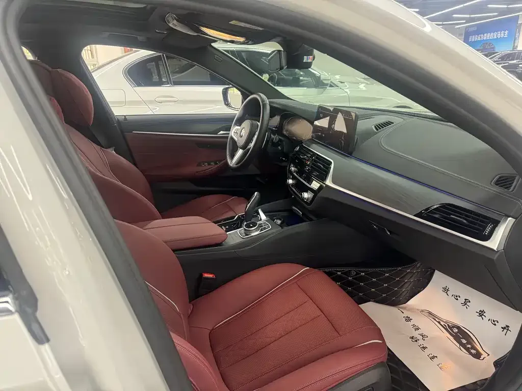 BMW 5 Series 2021 из CN, фото 7