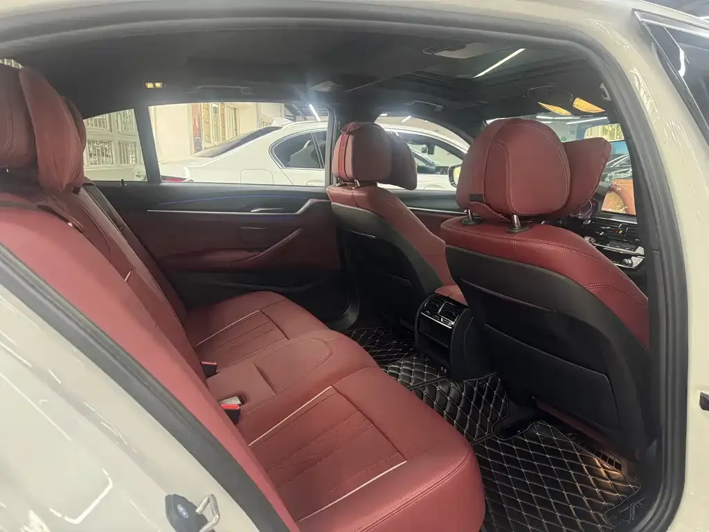BMW 5 Series 2021 из CN, фото 4