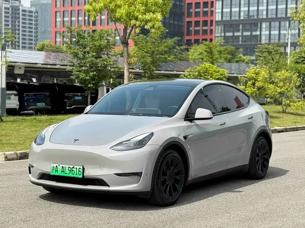 Tesla Model Y — фото 1