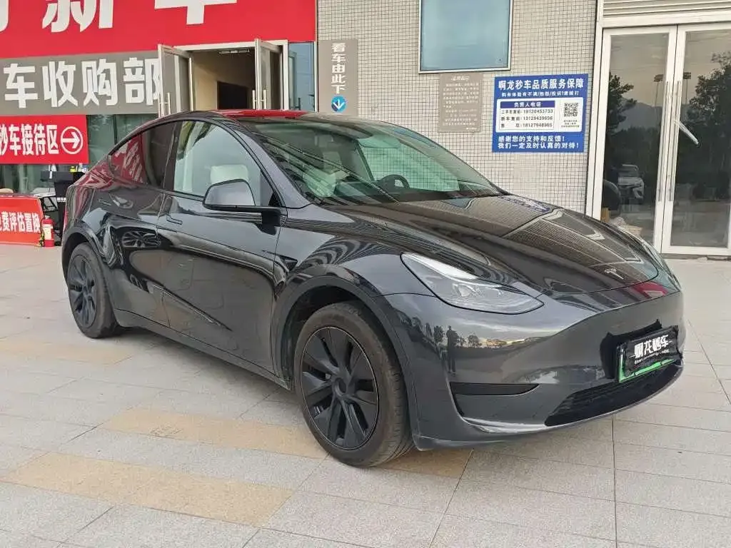 Tesla Model Y — фото 9