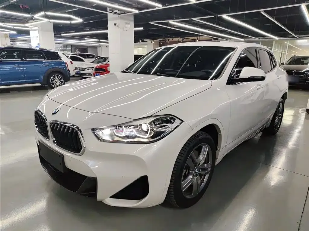 BMW X2 2023 из CN, фото 10