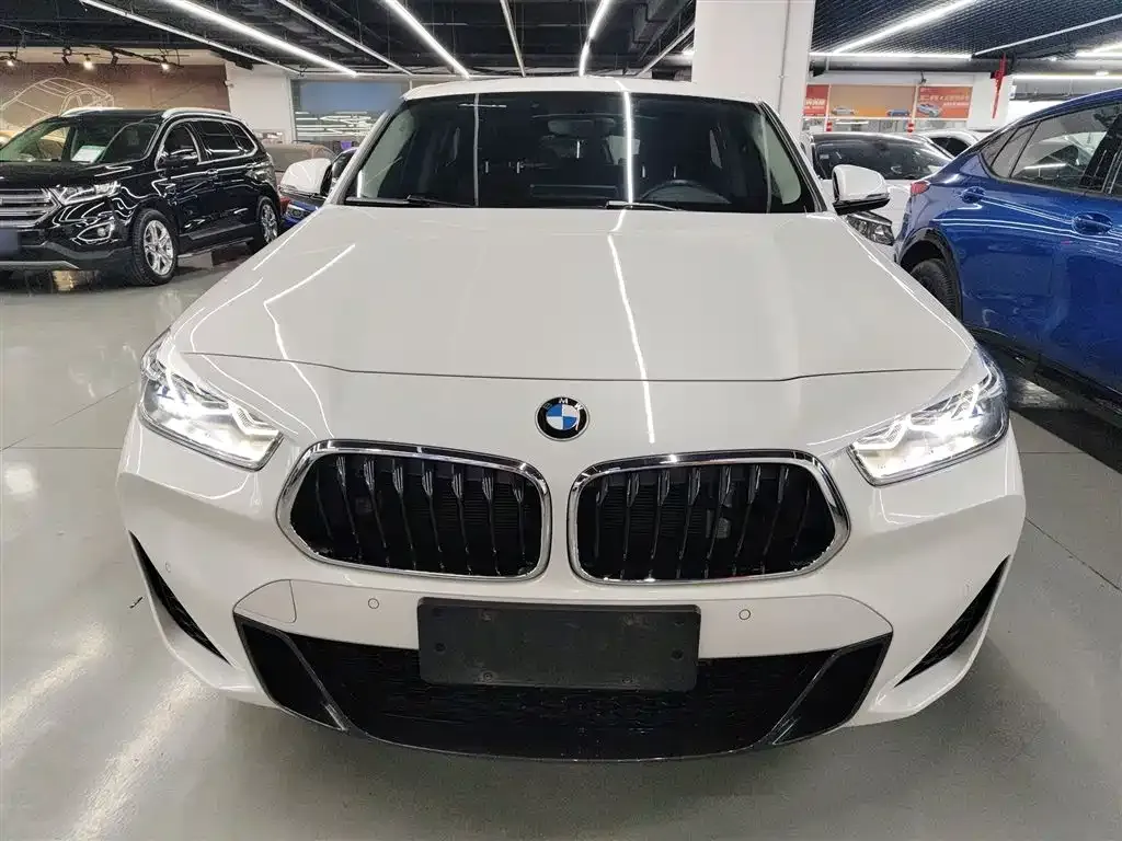 BMW X2 2023 из CN, фото 6