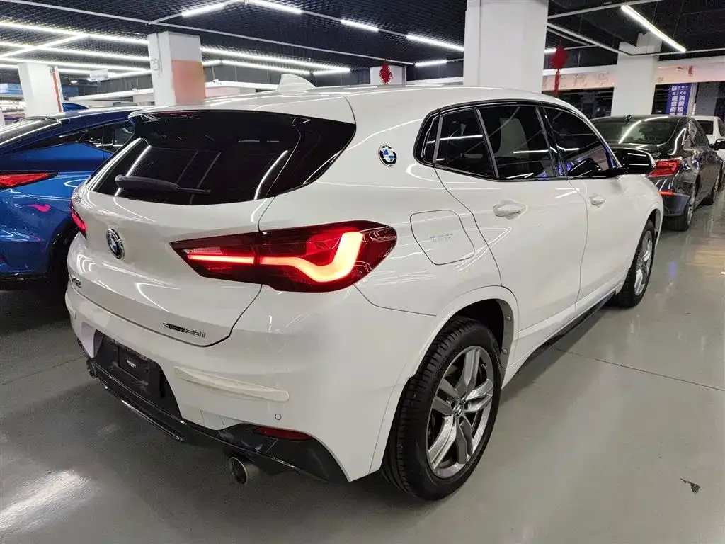BMW X2 2023 из CN, фото 9
