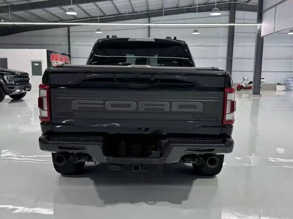 Ford F-150 Raptor — фото 3