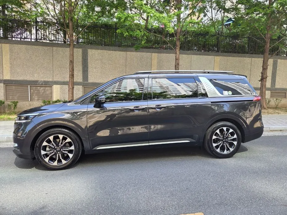 Kia Carnival — фото 10