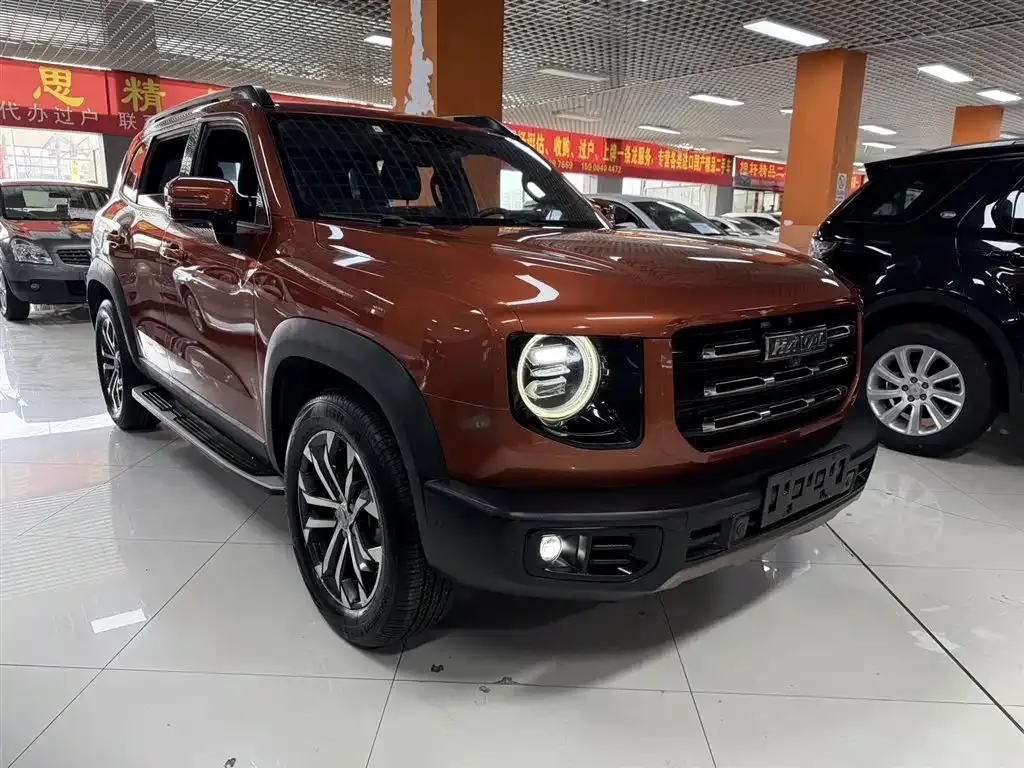 Haval Big Dog — фото 10