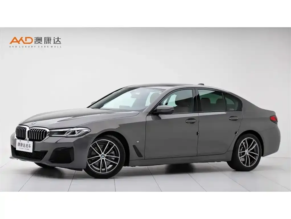 BMW 5 Series (Import)