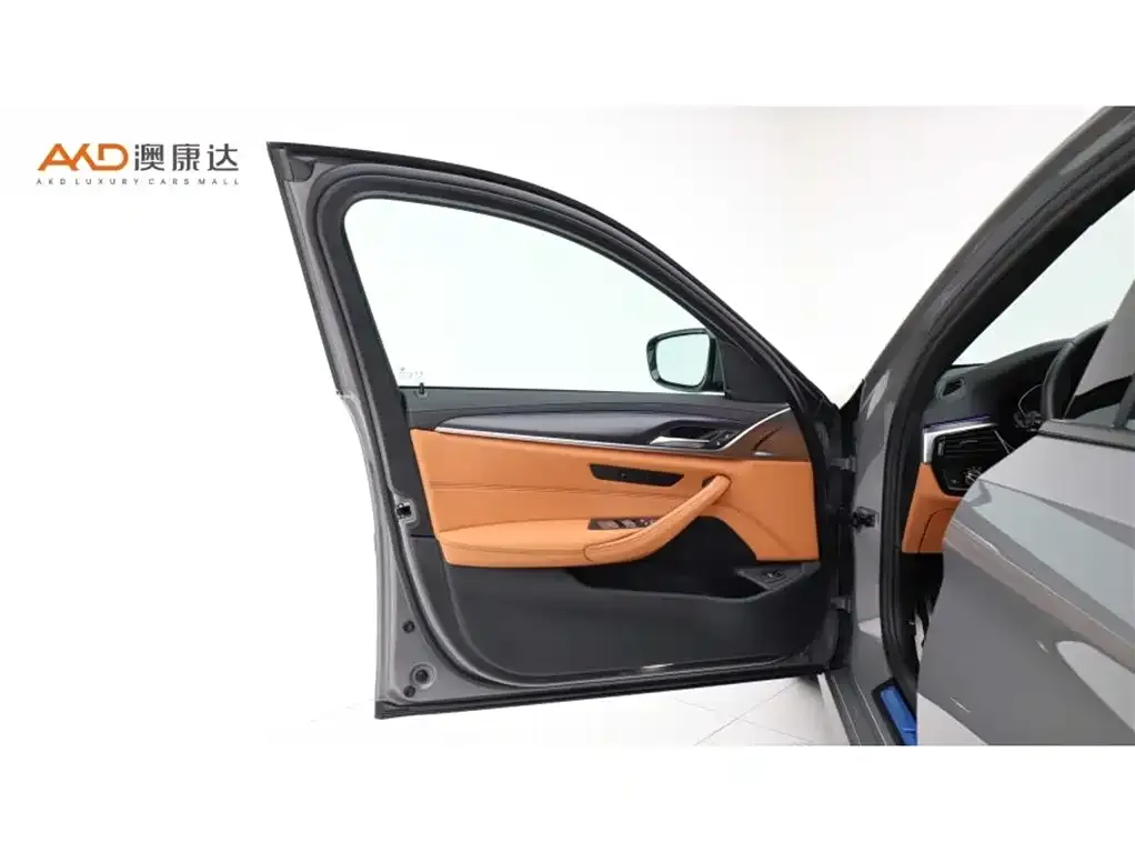 BMW 5 Series (Import) 2021 из CN, фото 4