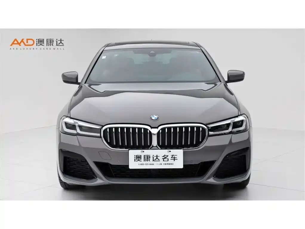 BMW 5 Series (Import) 2021 из CN, фото 3