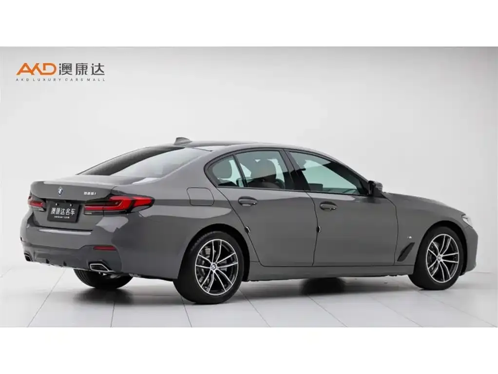 BMW 5 Series (Import) 2021 из CN, фото 9