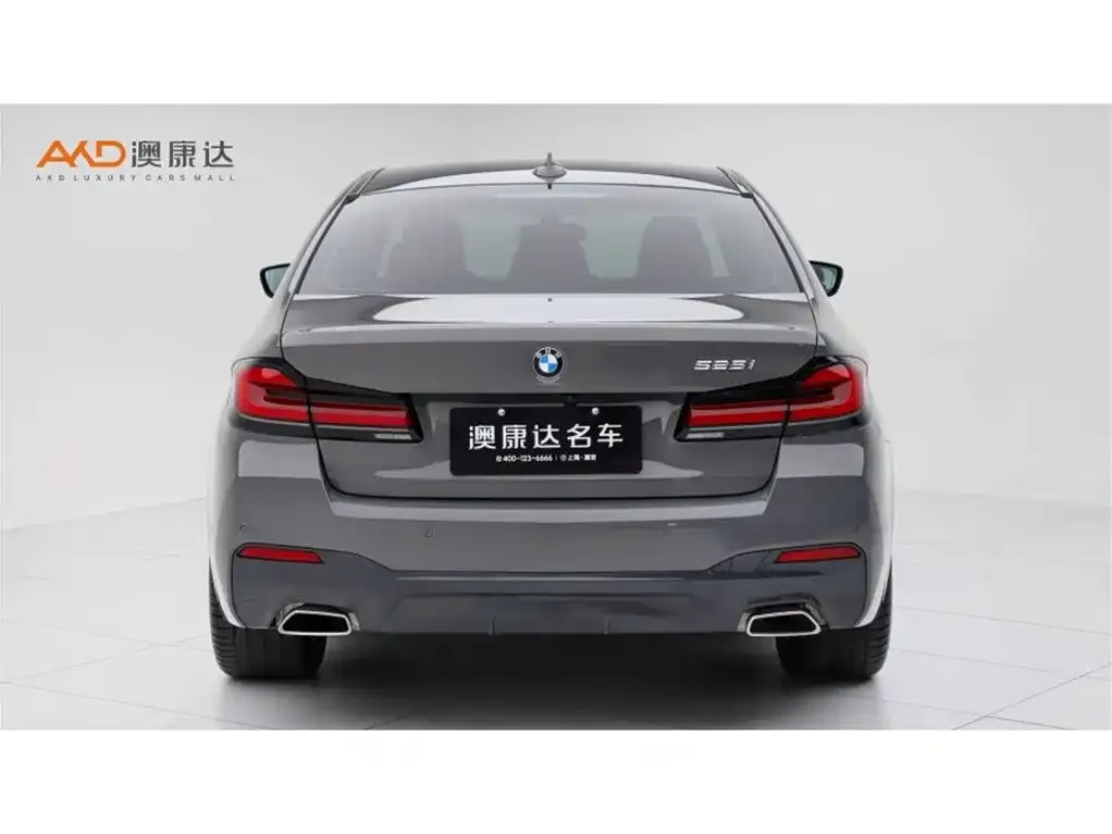 BMW 5 Series (Import) 2021 из CN, фото 6