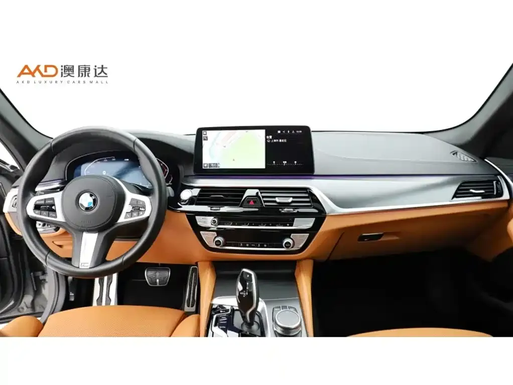 BMW 5 Series (Import) 2021 из CN, фото 5