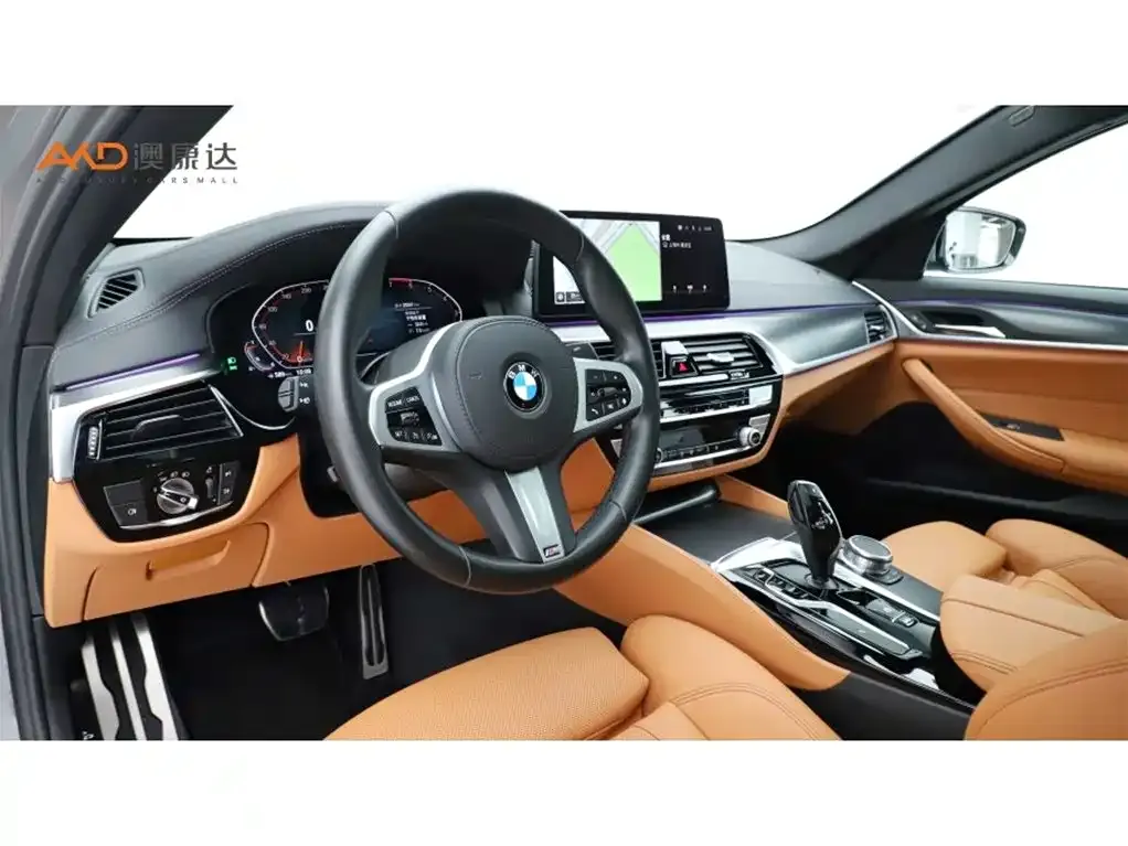 BMW 5 Series (Import) 2021 из CN, фото 8