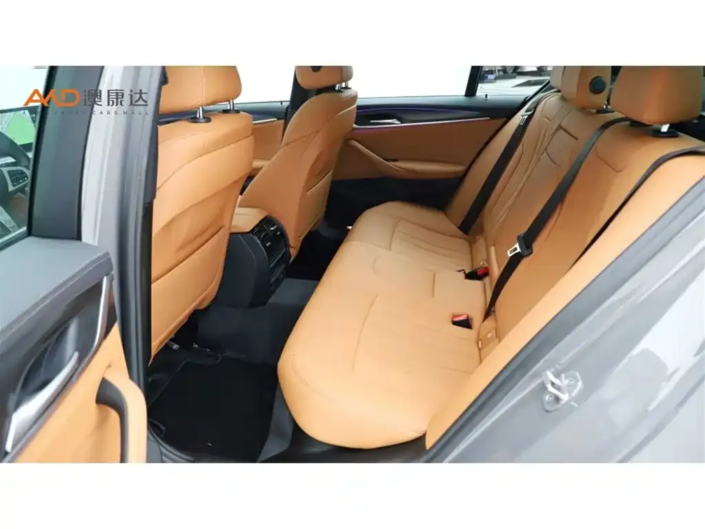 BMW 5 Series (Import) 2021 из CN, фото 7