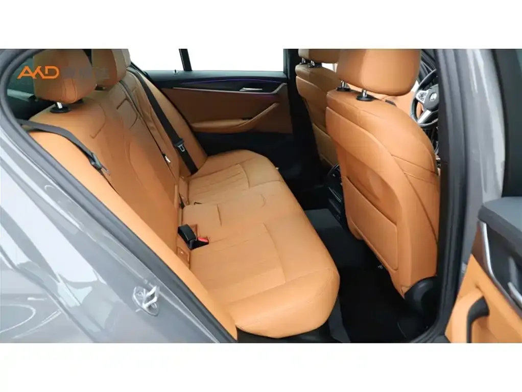 BMW 5 Series (Import) 2021 из CN, фото 2