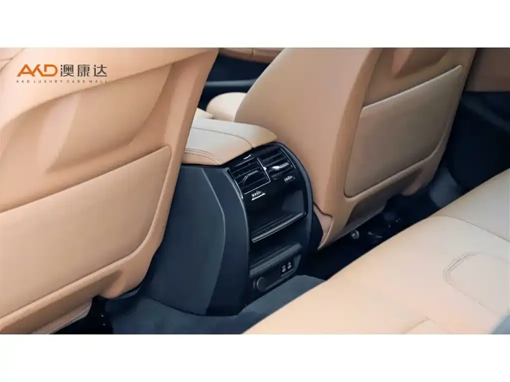 BMW 5 Series (Import) 2021 из CN, фото 10
