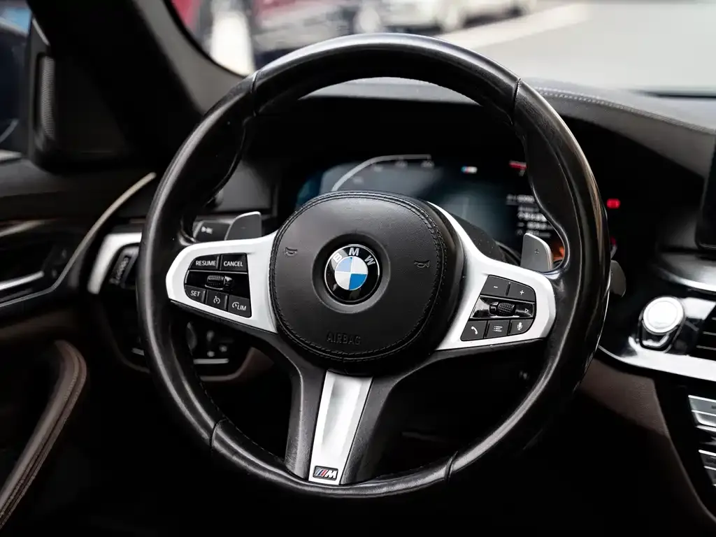 BMW 5 Series (Import) 2021 из CN, фото 7