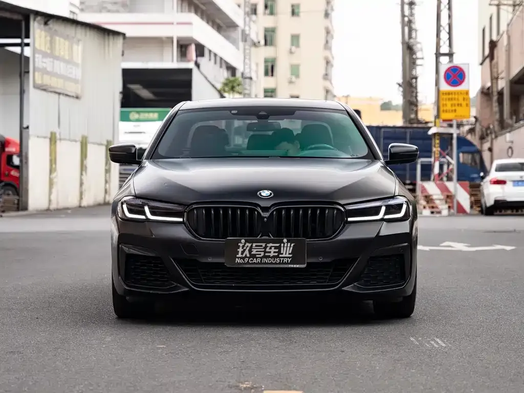 BMW 5 Series (Import) 2021 из CN, фото 6